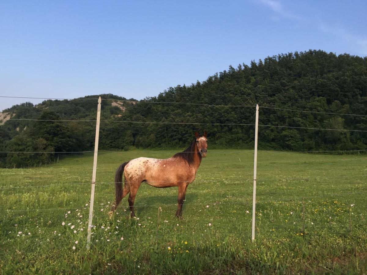 Pensjonat Relais Valguerriera Apecchio Zewnętrze zdjęcie